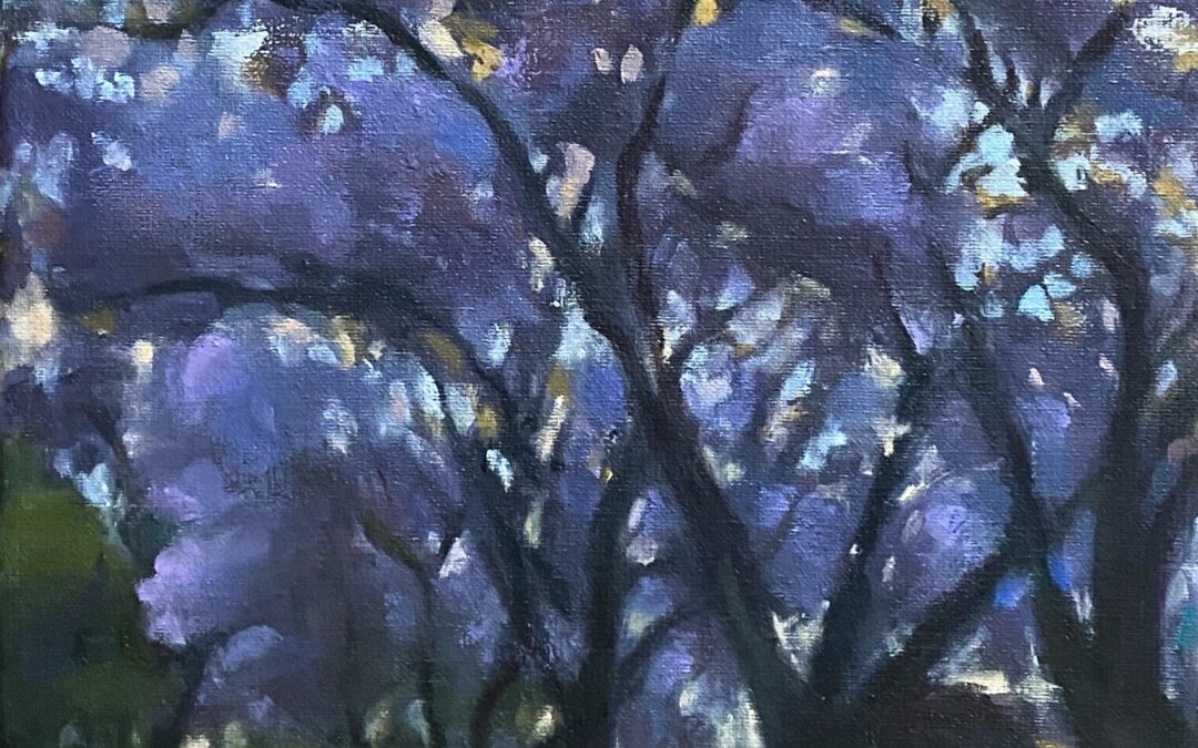 Jacaranda park