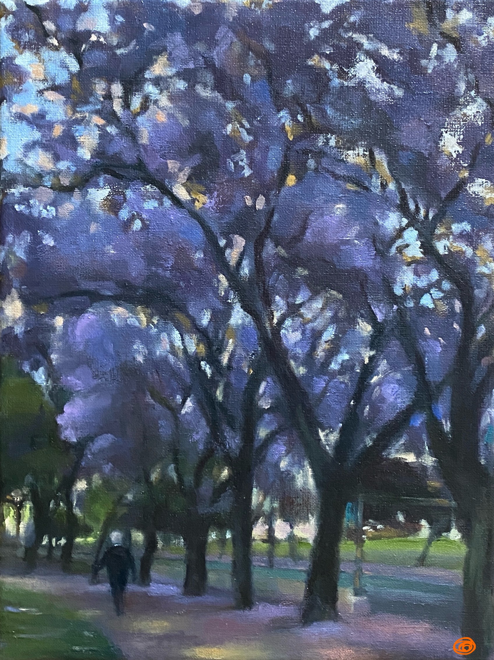 Jacaranda Park